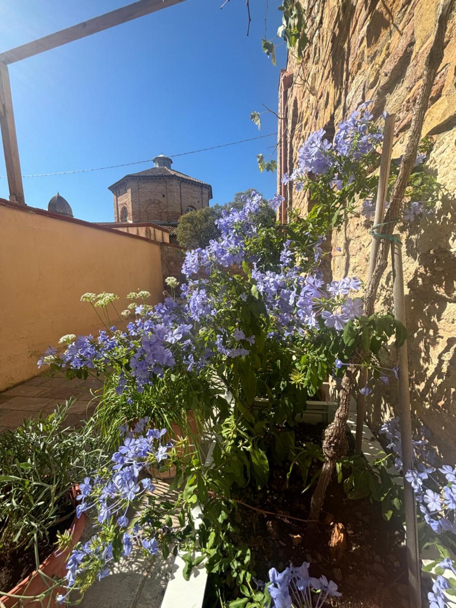 Domus Mirabilis Homestay Ancona Esterno foto
